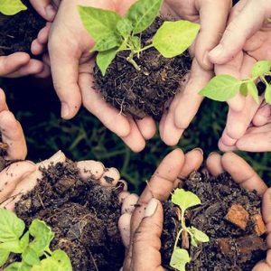 2020-06-05-día-mundial-del-medio-ambiente-jpg